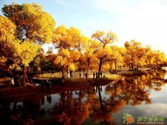 九月我们相约额济纳旗兰州到张掖七彩丹霞、额济纳胡杨林、东风航