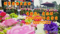 【嘉定红土天阶】离11号线地铁站有多远？具体是那一站？