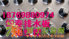 供应优质蓄排水板￥1公分塑料排水板厂家
