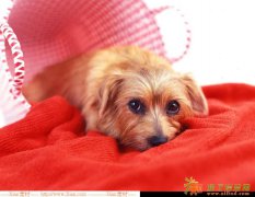 北京公司转让 北京海淀装修装饰公司转让