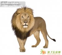 道路运输物流公司转让 房山50万道路运输物流公司转让