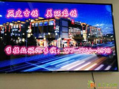 【乌镇子夜商业中心】唯一指定销售热线：17717444918