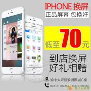 苹果6Sp 换外屏换显示屏换总成维修