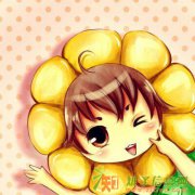 长春网店代运营网店装修淘宝培训微信公众平台企业网站建设