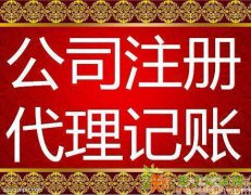 公司注册 加急办理各类证照，解决税务疑难问题