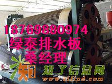 供应隧道专用排水板塑料排水板---车库种植用滤水板