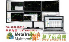 出租二元期权平台