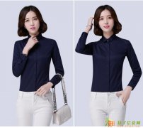 新派威秋季新款通勤商务休闲时尚水晶扣女修身版百搭长袖衬衫