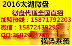 微盘代理零加盟费高反佣！运营中心直招！