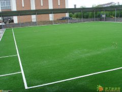 济南足球场人造草坪