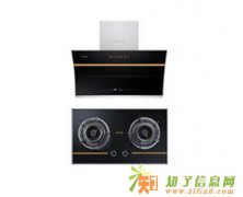 莱普帝斯厨卫电器厂家厨电工程套餐二大吸力油烟机配猛火燃气灶