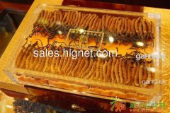 北京回收冬虫夏草13811148711收购礼品海参燕窝鹿茸