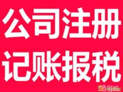 网站建设、优化,代理记账、税务申报,公司商标注册