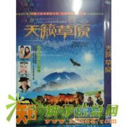 最新光碟批发DVD碟片批发VCD碟片批发