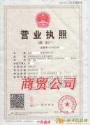 境外投资证书申请条件都需要准备什么材料 王先生