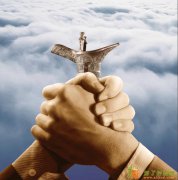 青岛国际有色金属哪个产品最赚钱-风险小