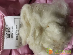 无良蚕丝被商家“耍手段”，你上当了吗？