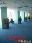 天津红桥区植物出租公司天津红桥区花卉租摆公司绿植出租公司