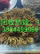 临沂市河东回收燕窝，兰山，罗庄回收冬虫夏草