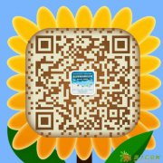 车载wifi随身wifi，共享wifi 支持多人同时在线