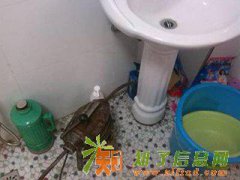 福州大学城管道疏通 上街疏通管道 上街马桶维修