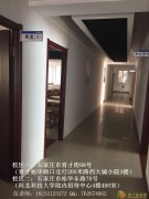 网络教育专升本招生专业