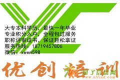 西丽哪有办公自动化课程培训?