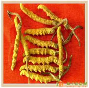 北京高价回收冬虫夏草13811220624收购礼品海参燕窝