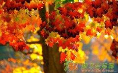 北京投资管理公司购买