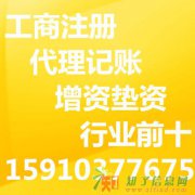 融资租赁公司委托办理