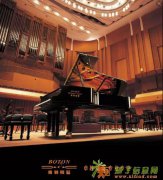 市场调查：BOTON(博顿)钢琴深受消费者青睐的背后