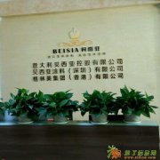 广东江门佛山中山意大利贝西亚欧式涂料批发施工服务