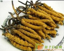 郯城回收53度茅台酒---------回收冬虫夏草