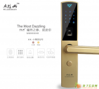 合肥蜀山区五指山智能指纹锁售后服务电话