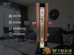 合肥滨湖新区智能指纹密码锁售后服务