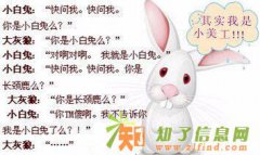 设计培训学会为止