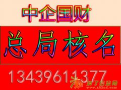 国家工商总局加急疑难核名办理流程