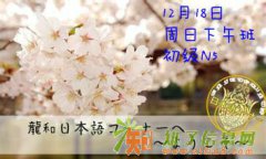 深圳龙和日语学习 零基础也无妨