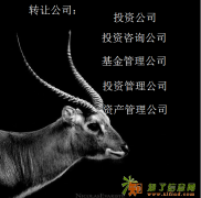 转让投资公司，朝阳投资公司，通州资产管理公司。