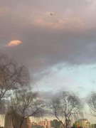 转让国际旅行社