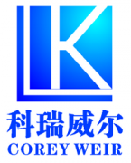 代理审批各类公司资质,融资租赁,执照收购和转让,社保托管,资