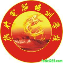 东莞石排德竹中小学培训教育