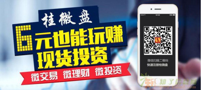 互联网新贵-桂微盘微交易掌上投资