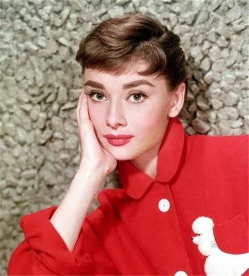 汽车4s店商业计划书