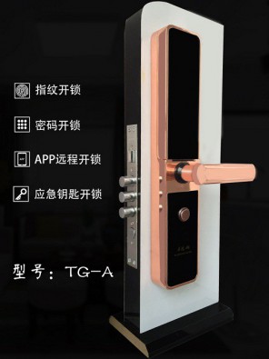 合肥瑶海区专业指纹密码锁安装维修服务