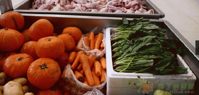 妙鲜多犬舍专用鲜肉犬粮30斤大包装特贡犬粮