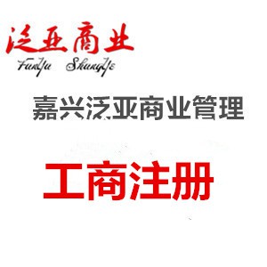 嘉兴代办个体执照新丰代办公司注册诚信服务