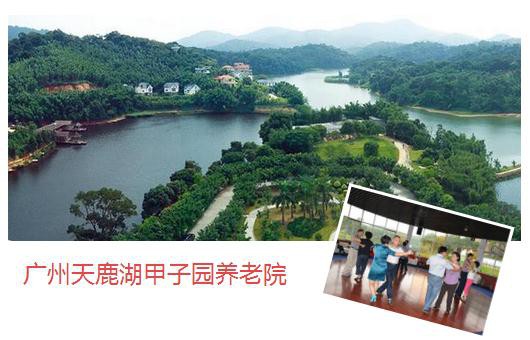 广州天鹿湖甲子园养老院春节大放价，办理携老卡最高免费入住一年