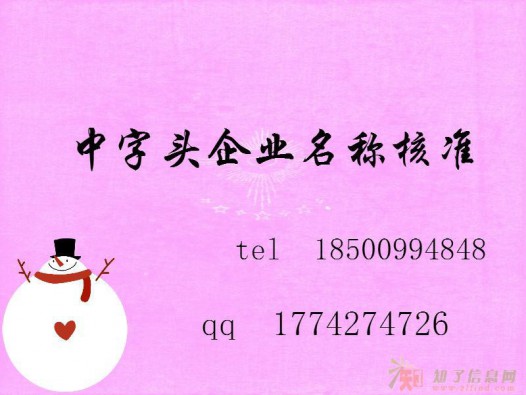 中字头企业注册核名