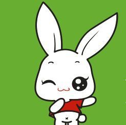 广东兔妈妈国际旅行社有限公司